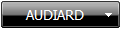 AUDIARD